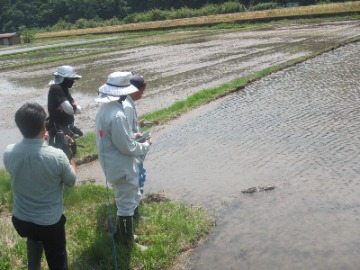 種子の確認