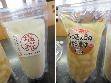 塩糀とらっきょうの酢漬け