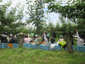 子どもたちの学習風景
