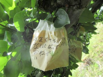 メッセージが書かれた大袋
