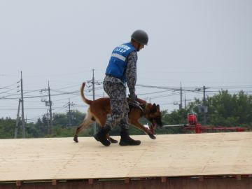 災害救助犬による要救助者捜索訓練
