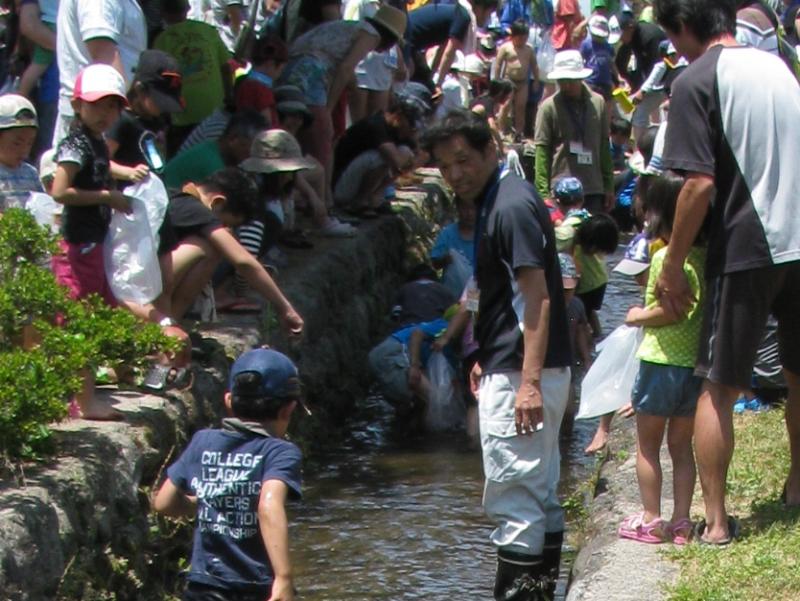 260601魚のつかみ捕りの様子