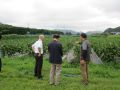 有機栽培ほ場の見学（ナスの栽培ほ場）