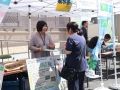 岩国矯正展