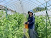 女性農業者（あまね農園）と意見交換を実施