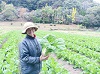 「栽培屋さと」と意見交換をしました