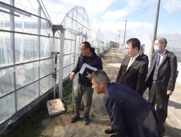 施設に隣接するハウス