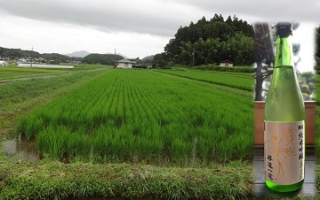 有機栽培の酒米で作られた美味しいお酒