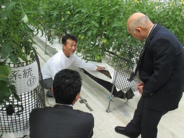 代表取締役から栽培技術の説明を受ける