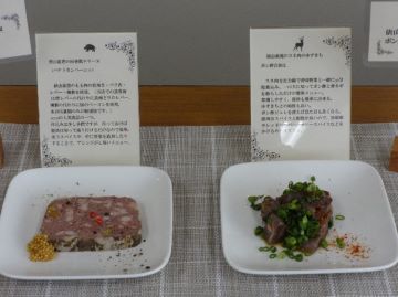 試食のジビエ料理