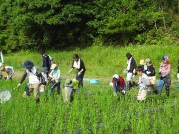 【採集】どんな生き物がいるかな～？