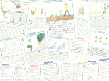 楽しさが伝わる絵日記と感想！