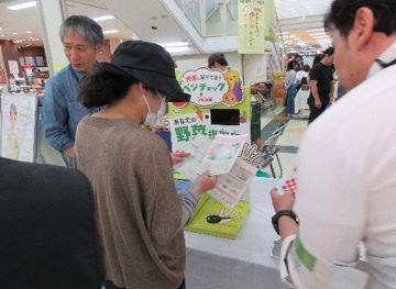 ベジチェックの様子