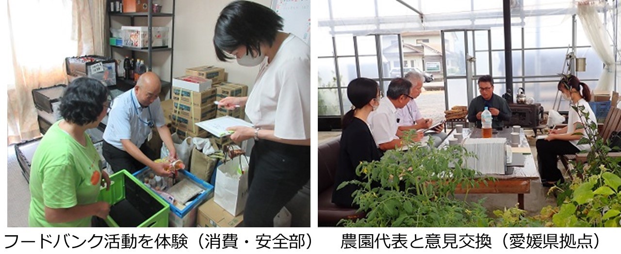 過去の活動写真