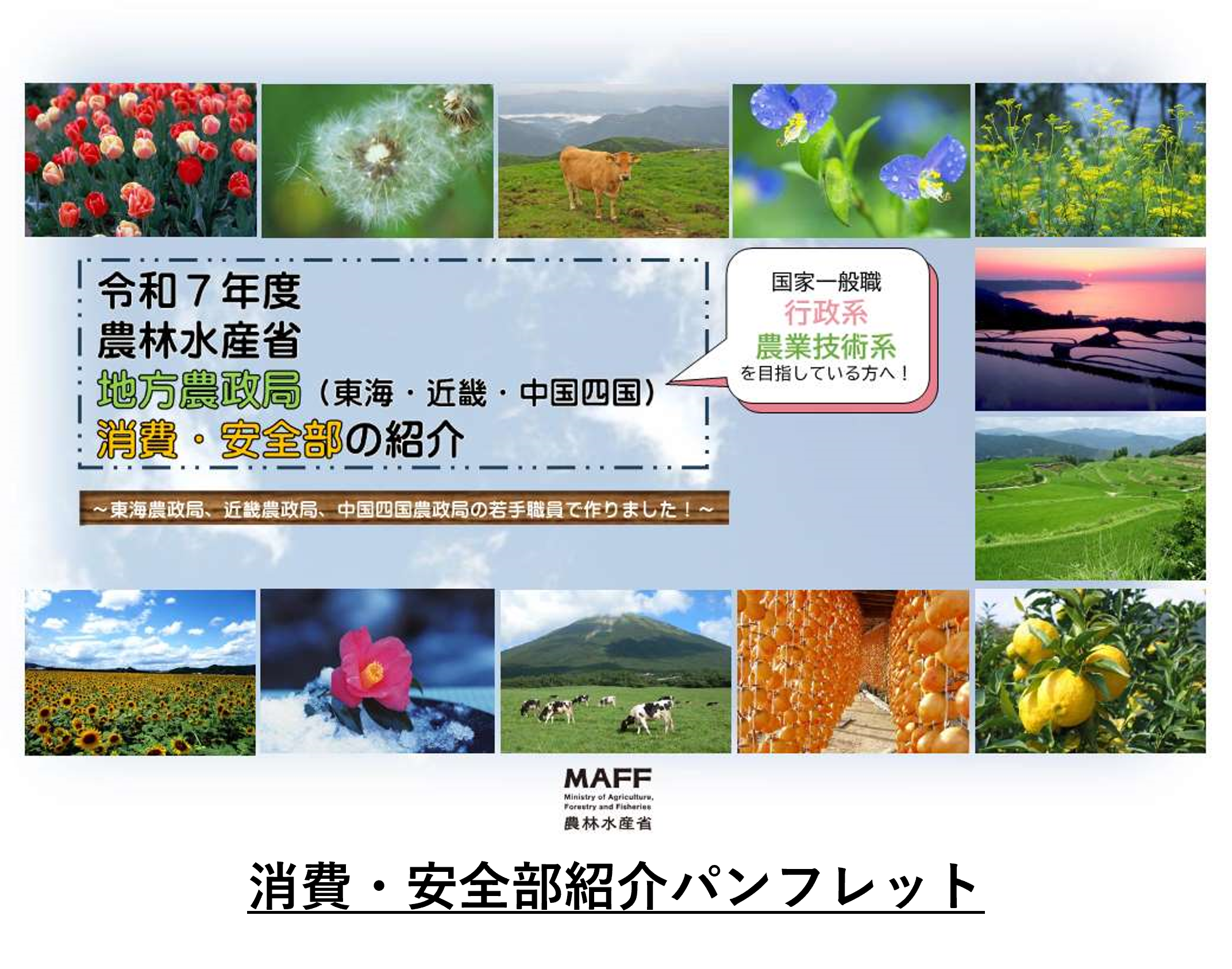 消費・安全部紹介パンフレット