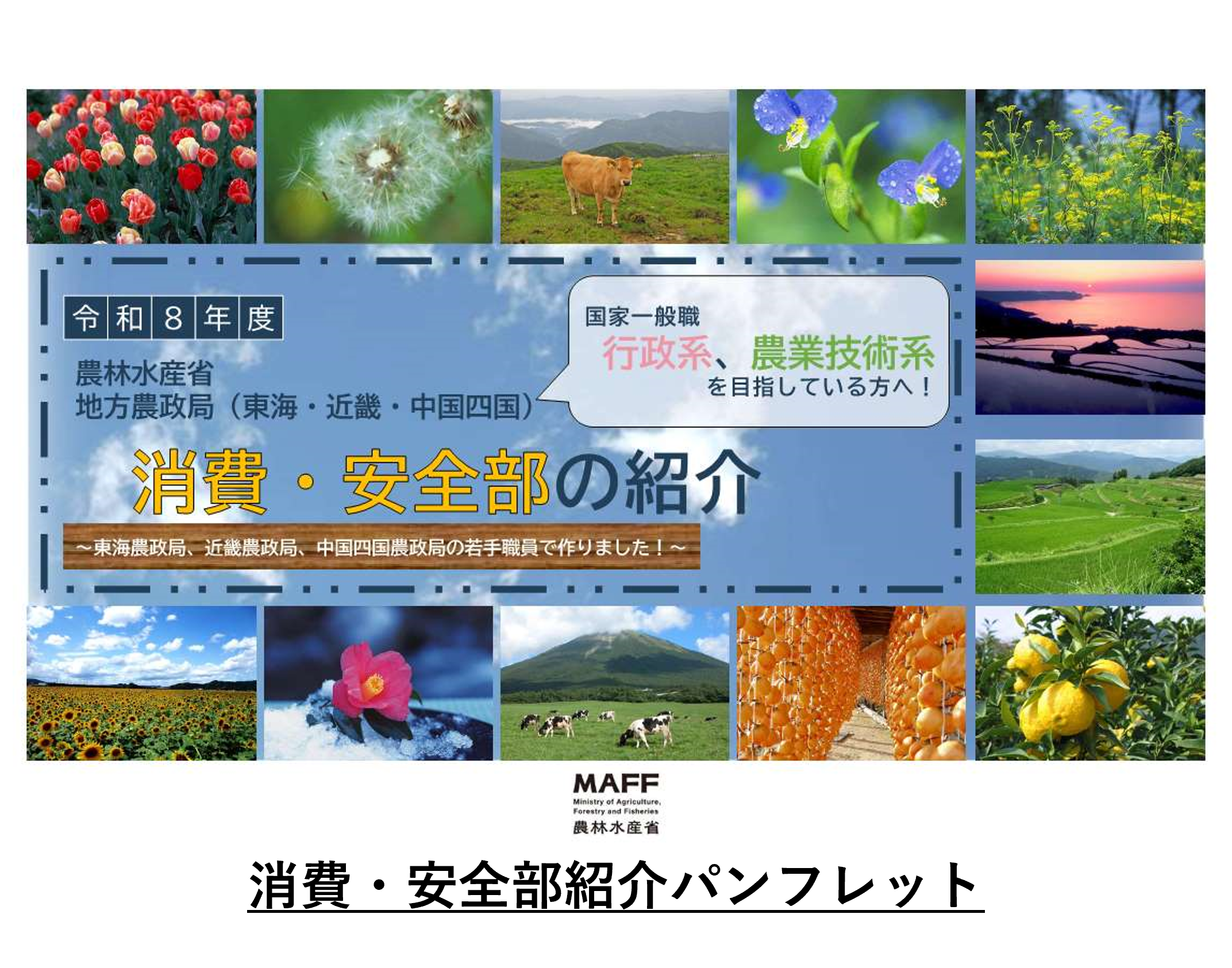 消費・安全部パンフレット