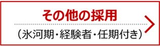 その他の採用（氷河期・経験者・任期付き）