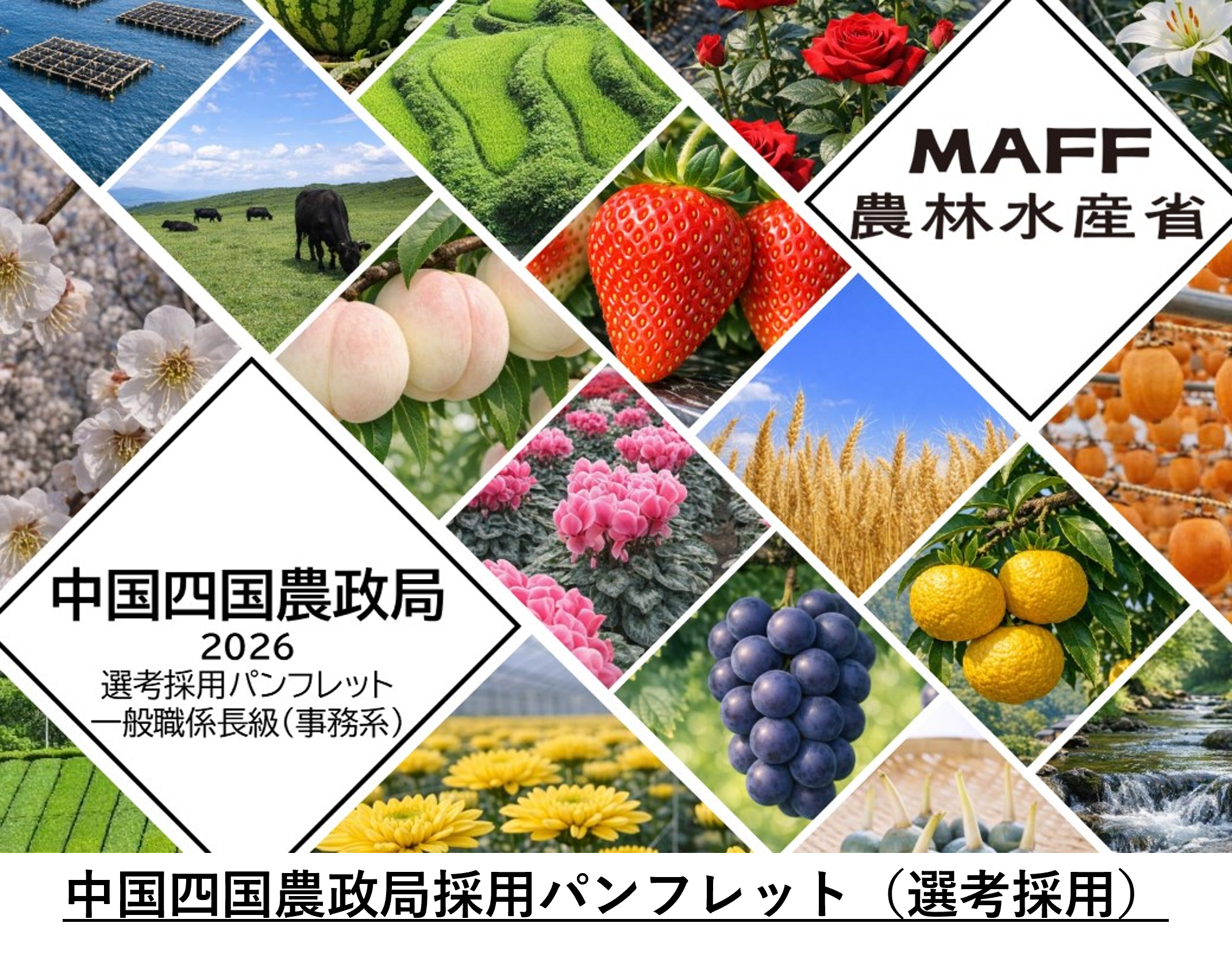 選考採用（事務系）パンフレット