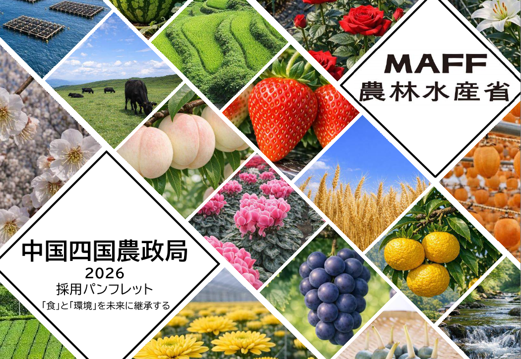中国四国農政局2026採用パンフレット