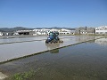 代かき作業が進む水田