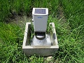 遠隔型給水栓から勢いよく出る水