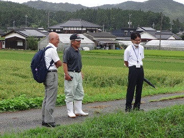 ほ場にて