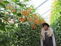 ハウスでの澤田さん