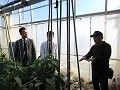 ハウス内で説明の様子