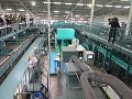 新選果機を見学