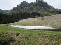 ゲレンデを利用した夏いちご栽培