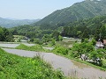 棚田の風景