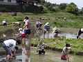 棚田で田植え体験