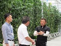 次世代型ハウスでの栽培について説明する中村専務（右）