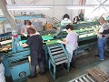 選果作業の様子