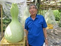 大きく育つ瓢箪と安倍氏