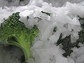 フレーク状の氷で新鮮さをキープ