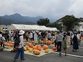 展示されたどてかぼちゃを見る来場者