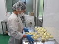 チーズの製造過程