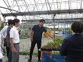 育苗施設での様子