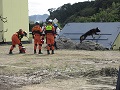 災害救助犬による捜索訓練の様子