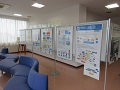 展示の様子