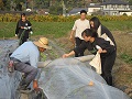川越氏の手ほどきで防虫ネットを設置