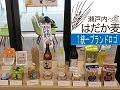 はだか麦関連食品の展示