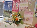 岡山市役所市民ホール展示の様子①2
