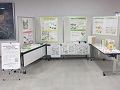 展示パネル