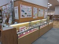展示の様子