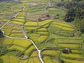 ドローン撮影による山王寺本郷の棚田風景