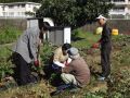 地元関係者から指導を受ける学生