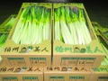 出荷用の伯州美人