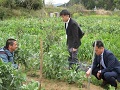 ほ場の様子